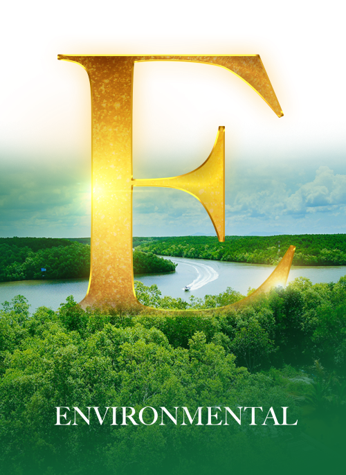 environtmental yếu tố môi trường vin cần giờ