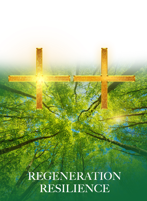 yếu tố sinh thái thích ứng vin cần giờ